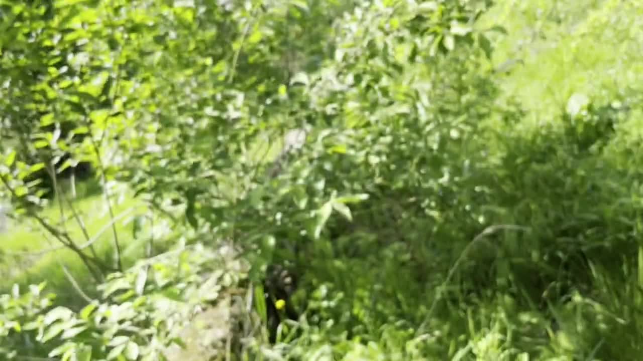 Юная студентка получает большой член в узкую пуську - 1